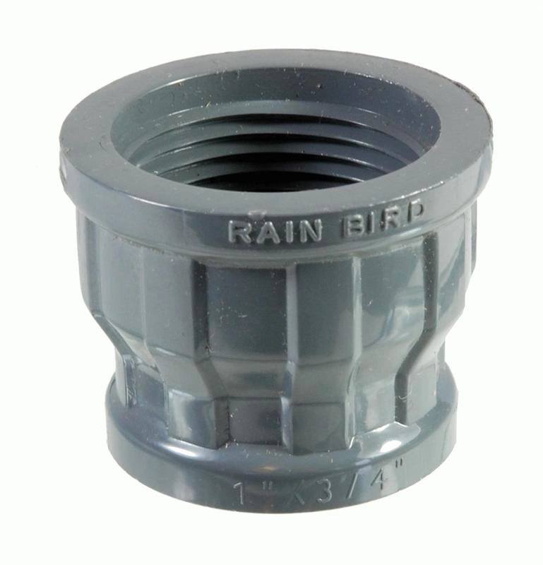 Rain Bird Kupplungsstück 1IGx3/4IG V54306 für Bewässerungssysteme
