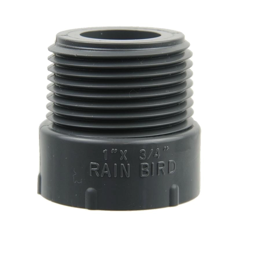 Rain Bird PVC Verschraubung -Adapter -Beregnung