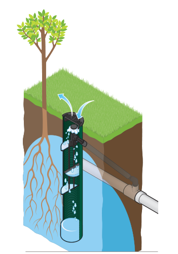 Hunter Wurzelbewässerung, Bewässerung Strauch und Baum